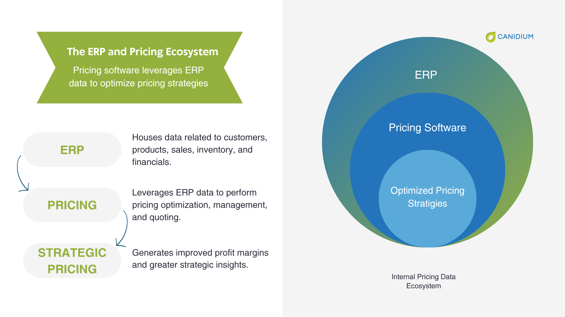The ERP and Pricing Ecosystem
