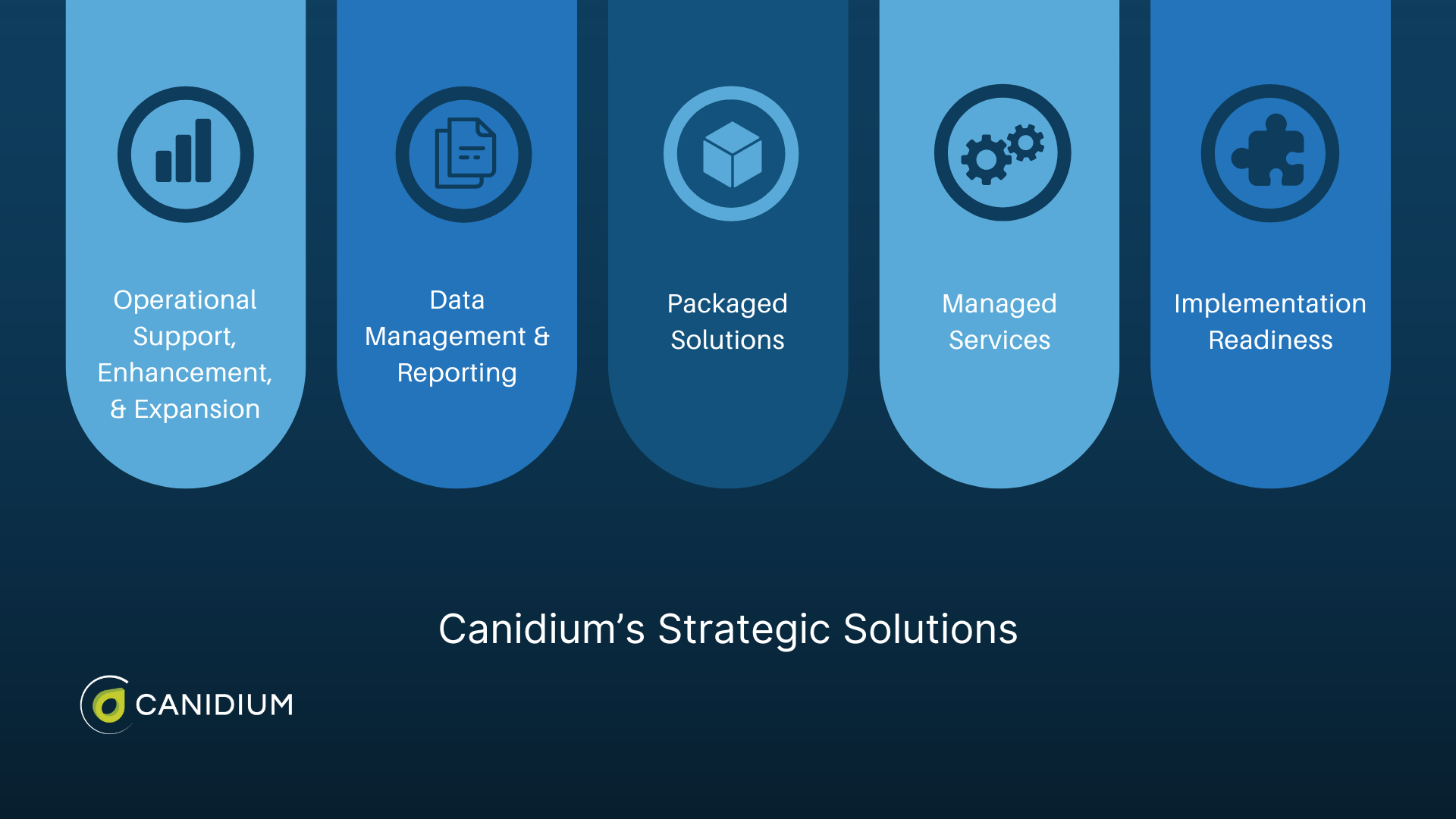 Your Guide to Software Implementation Services and SI Partners