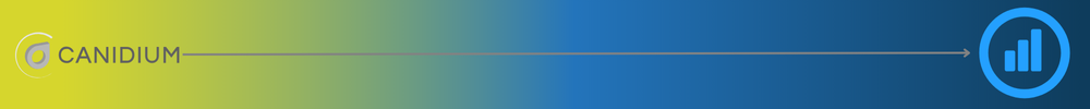 Canidium's Impact on Private Equity Pricing Optimization