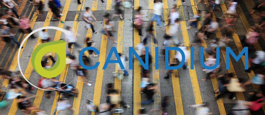 Canidium