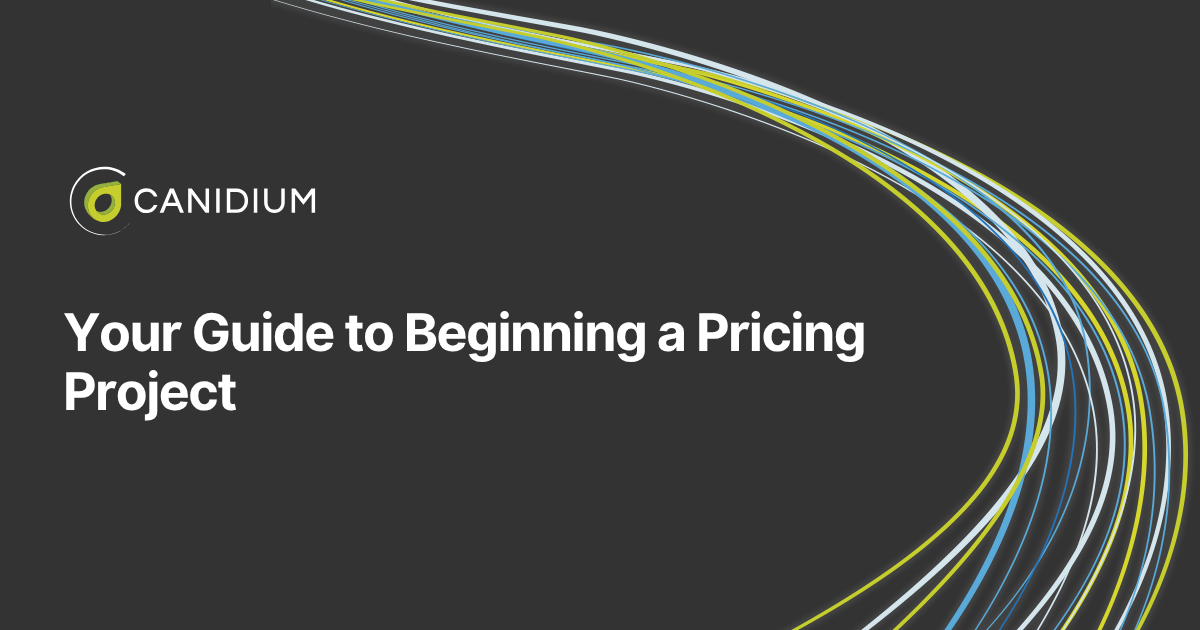 Your Guide to Beginning A Pricing Project