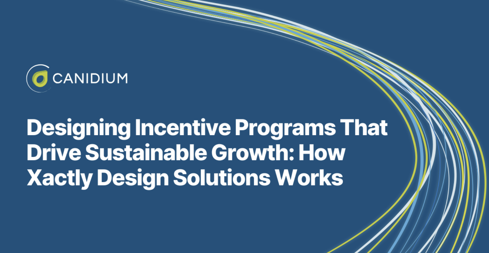 Designing Incentive Programs That Drive Sustainable Growth